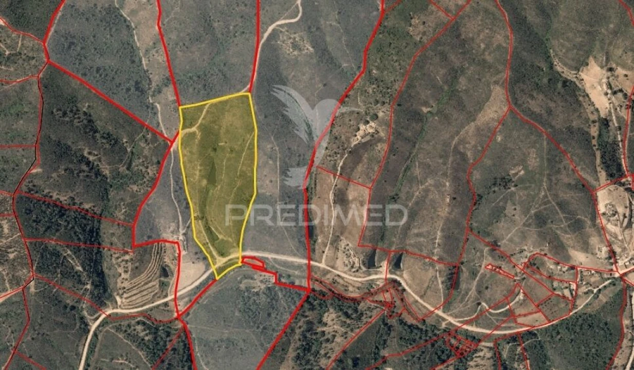 Moradia T0 para Venda em Santana da Serra Foto 4