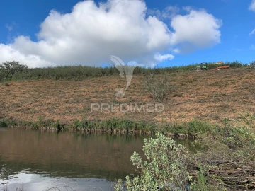Quinta T0 para Venda em Santana da Serra