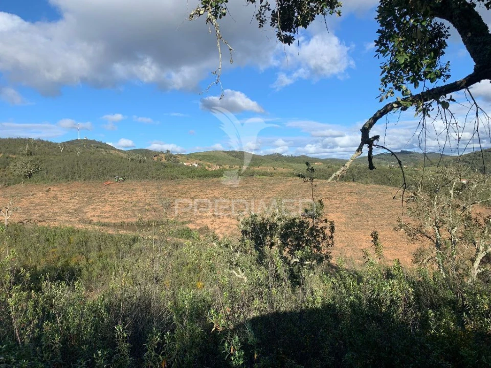 Moradia T0 para Venda em Santana da Serra Foto 6