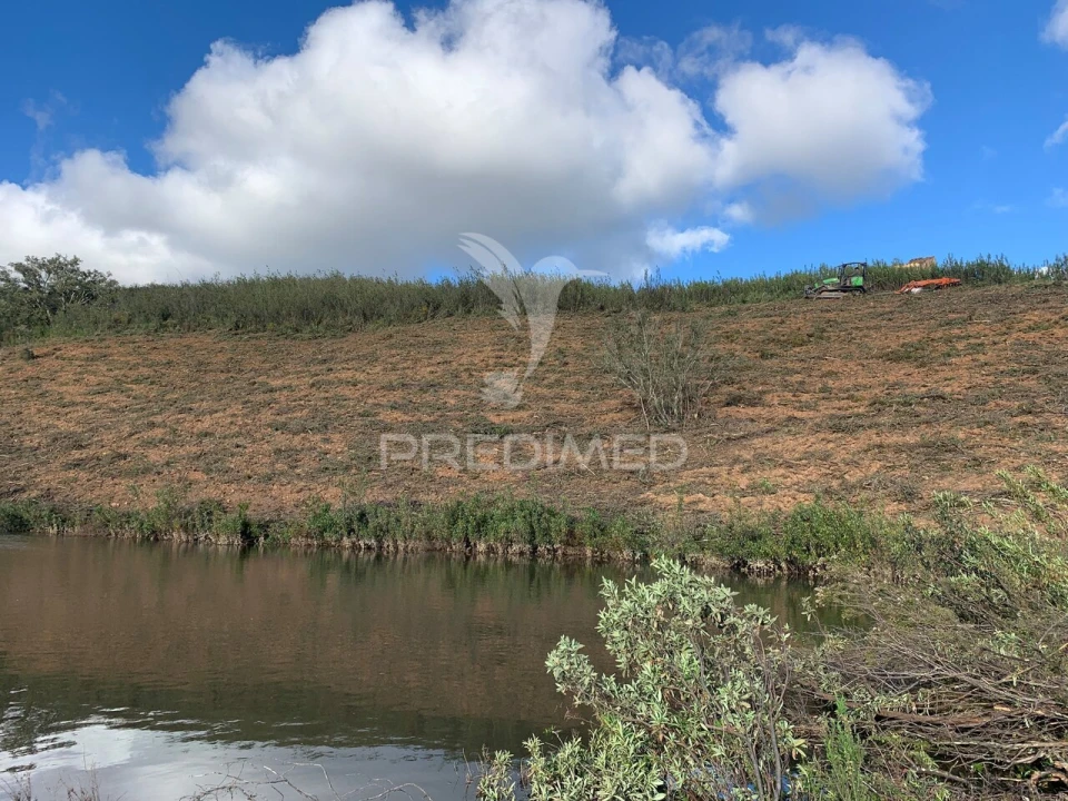 Quinta T0 para Venda em Santana da Serra Foto 9