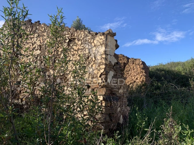 Quinta T0 para Venda em Santana da Serra