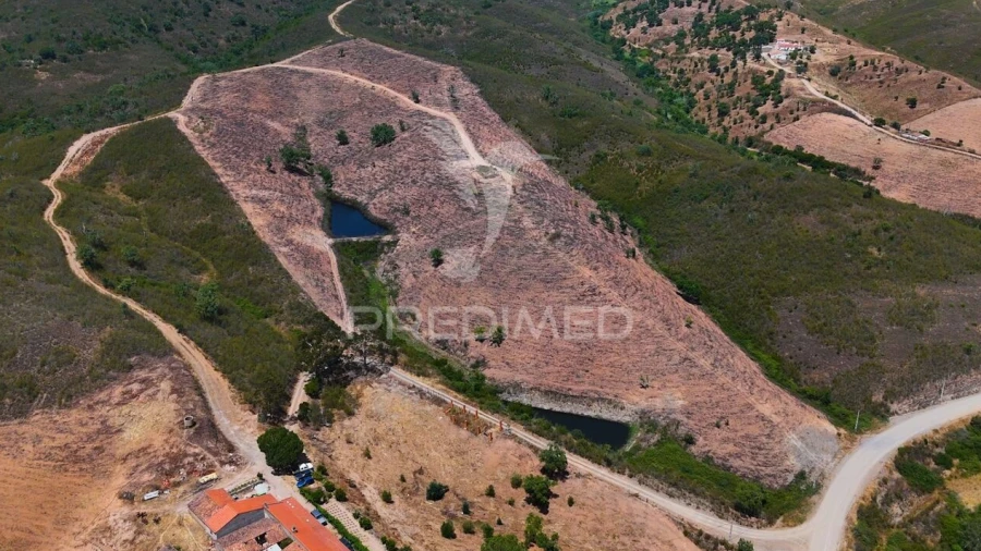 Quinta T0 para Venda em Santana da Serra
