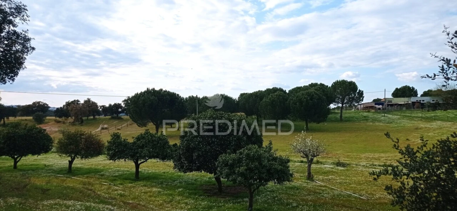 Quinta T3 para Venda em Montargil Foto 33