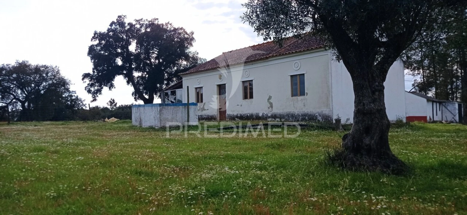 Quinta T3 para Venda em Montargil Foto 27