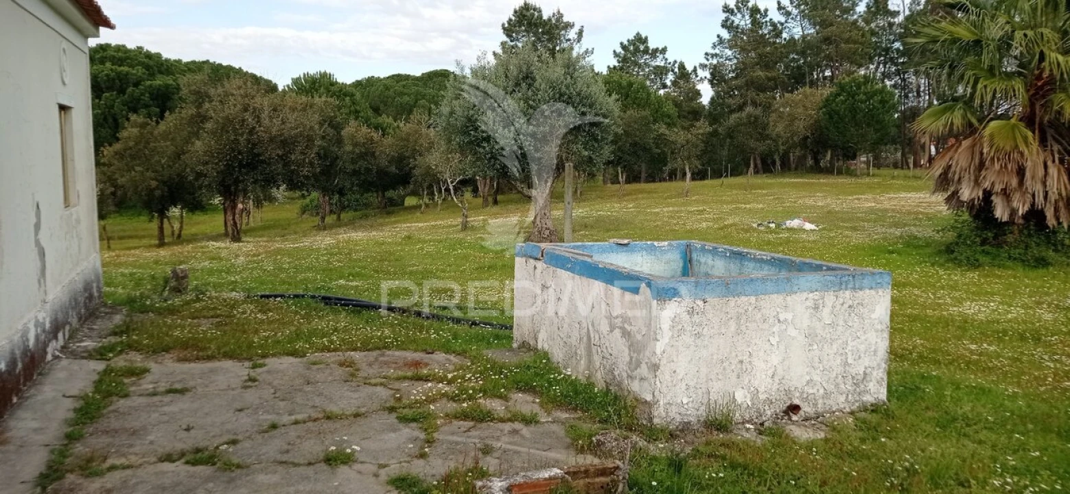 Quinta T3 para Venda em Montargil Foto 25