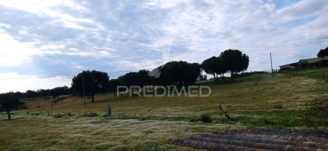 Quinta T3 para Venda em Montargil Foto 32