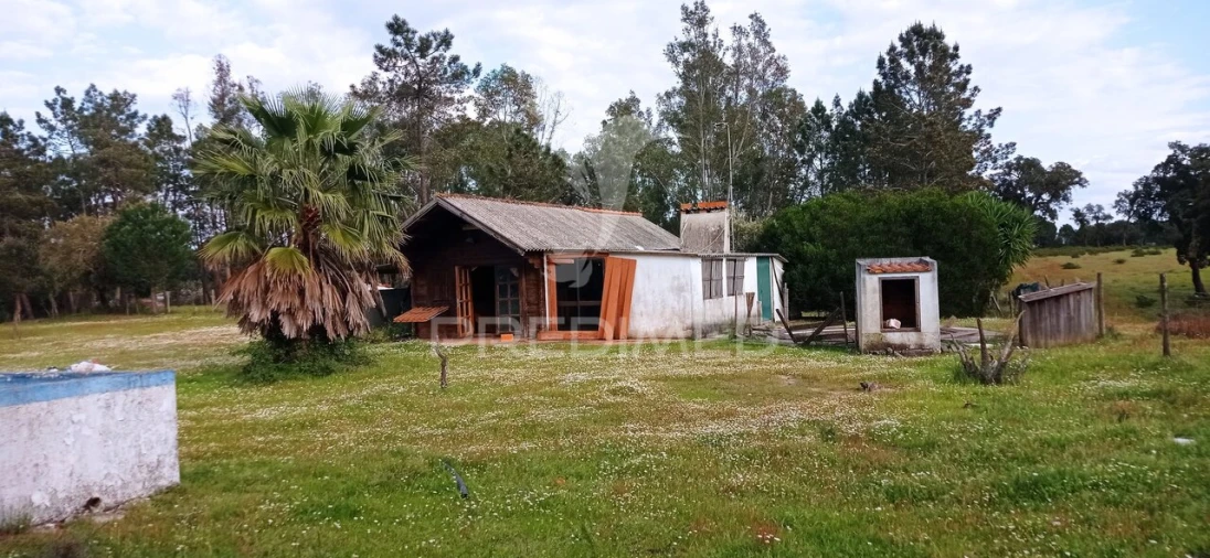 Quinta T3 para Venda em Montargil Foto 24