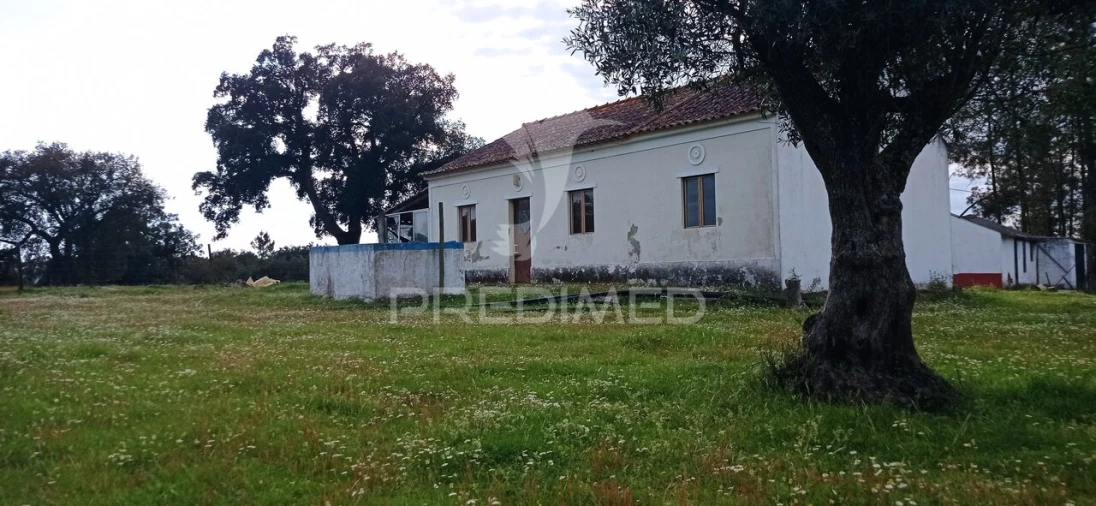 Quinta T3 para Venda em Montargil Foto 27