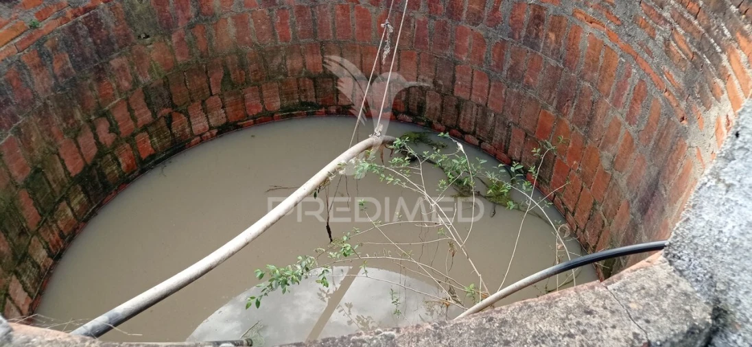 Quinta T3 para Venda em Montargil Foto 31