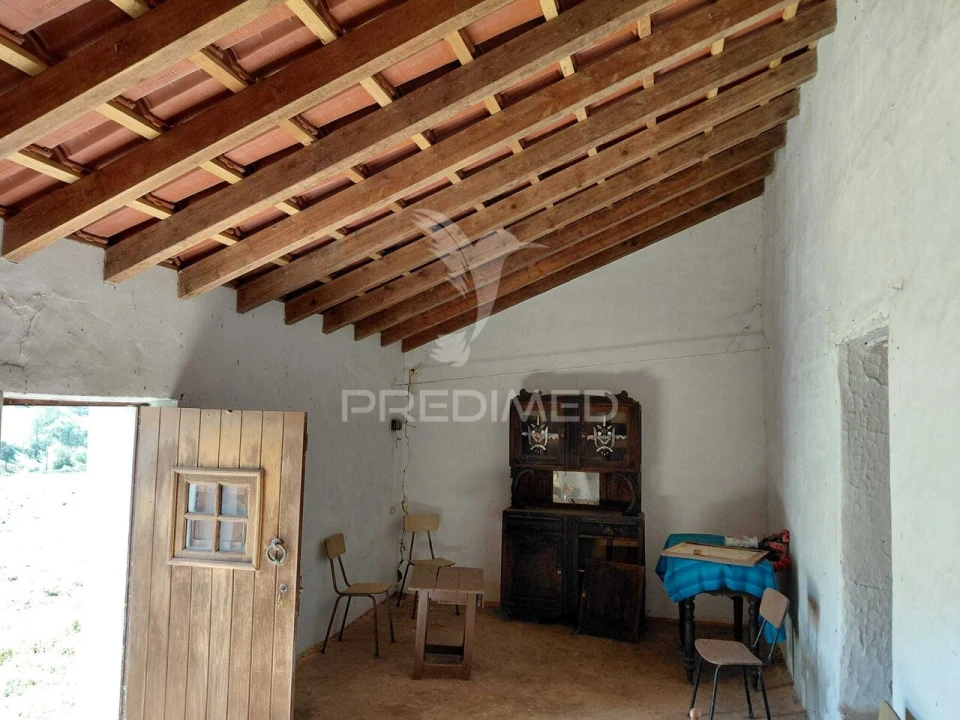 Terreno para Venda em Saboia Foto 15