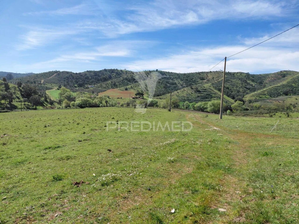 Terreno para Venda em Saboia Foto 16