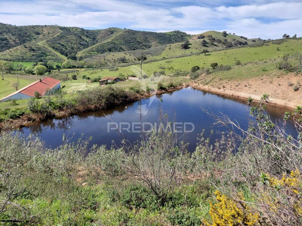Terreno para Venda em Saboia Foto 1