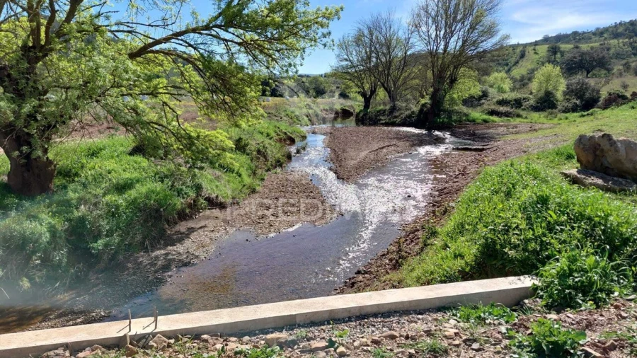 Terreno para Venda em Saboia Foto 24