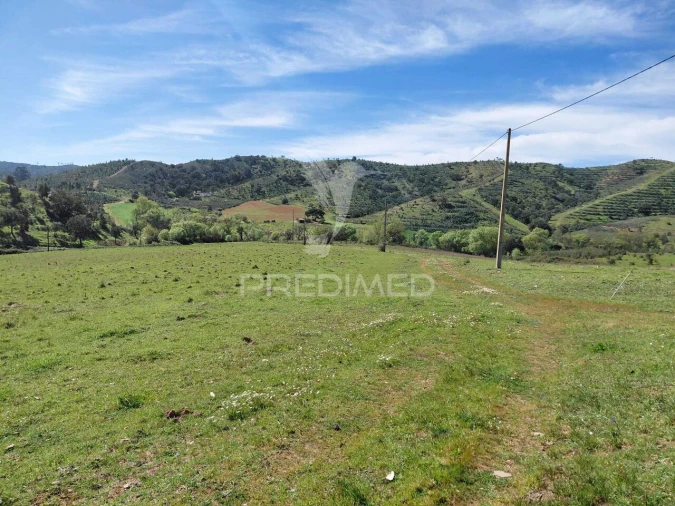 Terreno para Venda em Saboia Foto 16