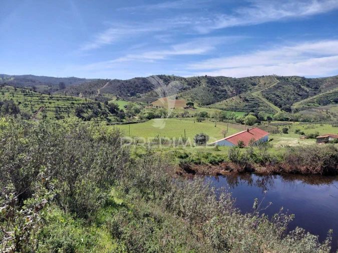 Terreno para Venda em Saboia Foto 21