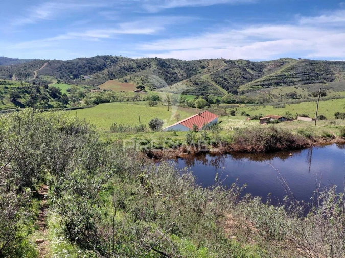 Terreno para Venda em Saboia Foto 22