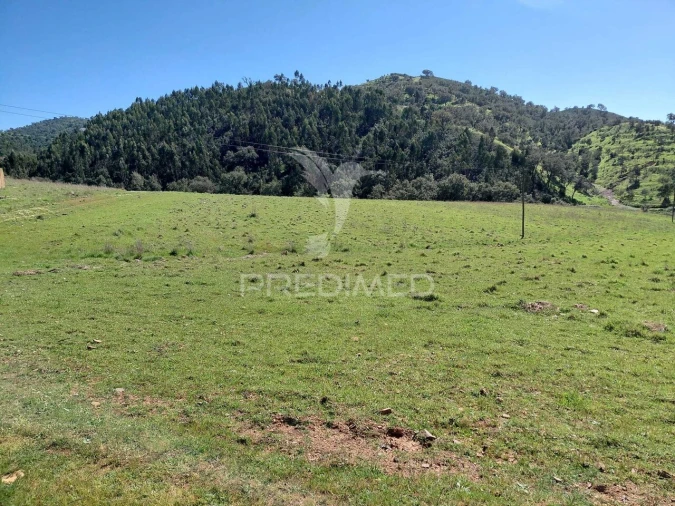 Terreno para Venda em Saboia Foto 9