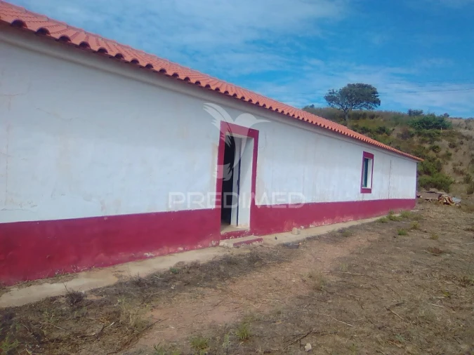 Terreno para Venda em Saboia Foto 3