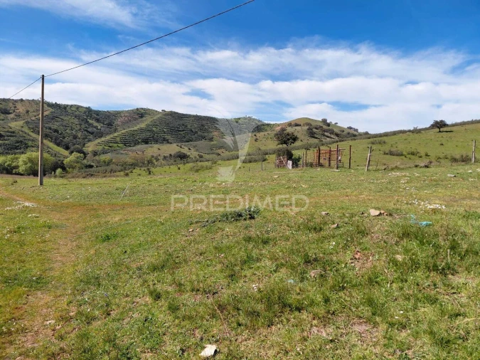 Terreno para Venda em Saboia Foto 13
