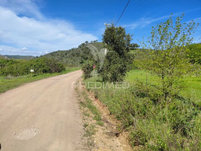 Terreno para Venda em Saboia Foto 23