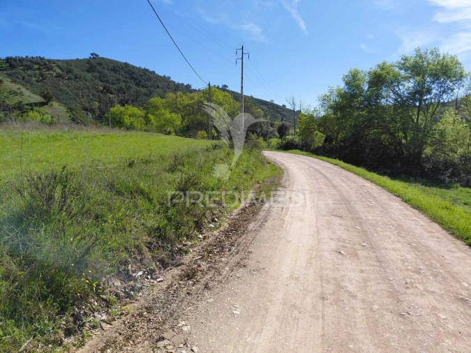 Terreno para Venda em Saboia Foto 26