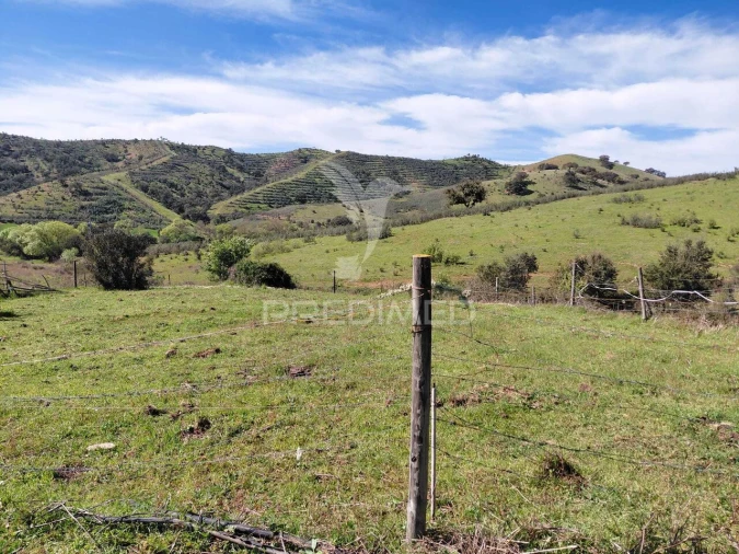 Terreno para Venda em Saboia Foto 19