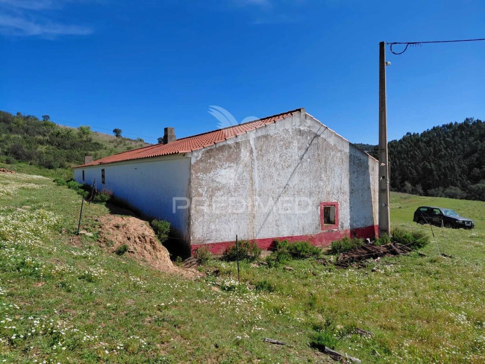 Terreno para Venda em Saboia Foto 18