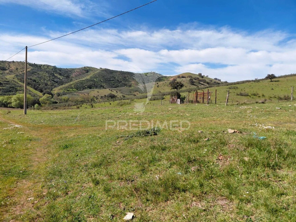 Terreno para Venda em Saboia Foto 13