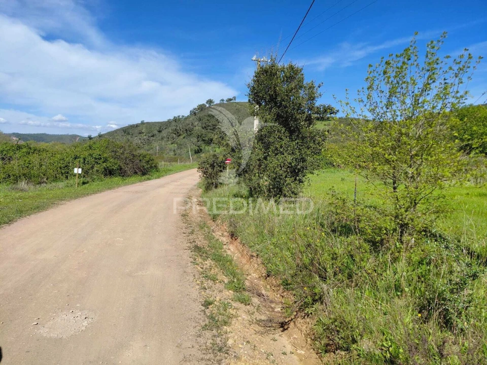 Terreno para Venda em Saboia Foto 23