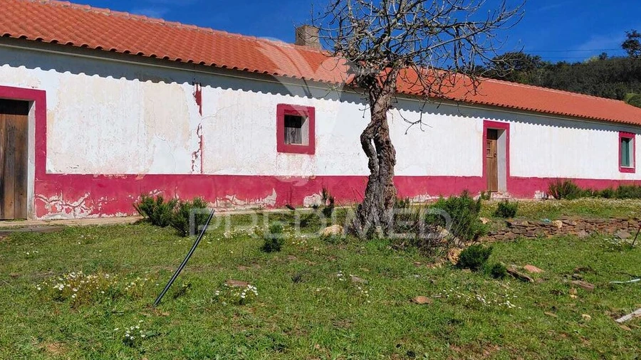 Quinta T3 para Venda em Saboia