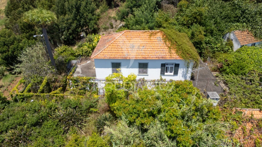 Moradia T3 para Venda em Caniço Foto 3