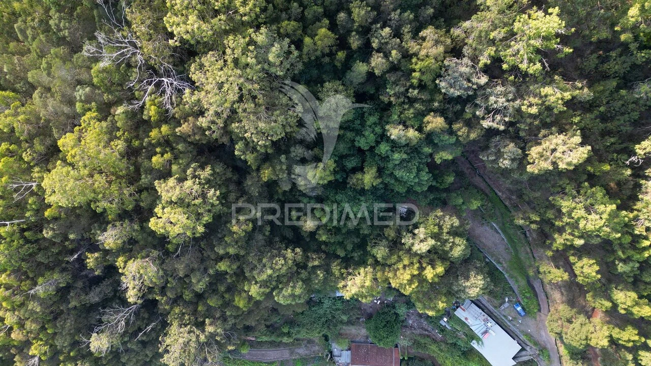 Terreno para Venda em Caniço Foto 22