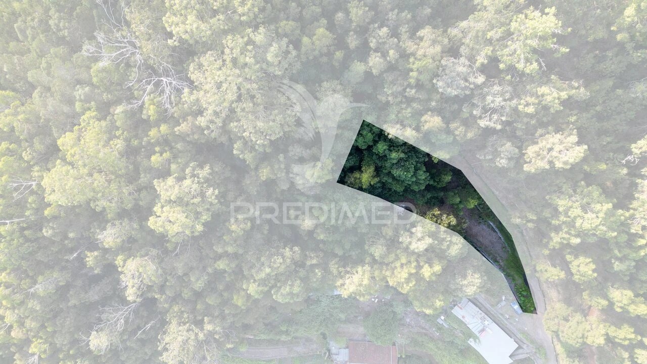 Terreno para Venda em Caniço Foto 2