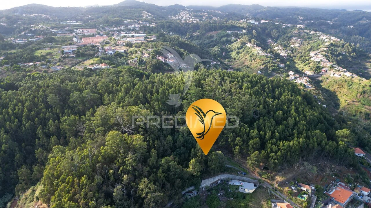 Terreno para Venda em Caniço Foto 26