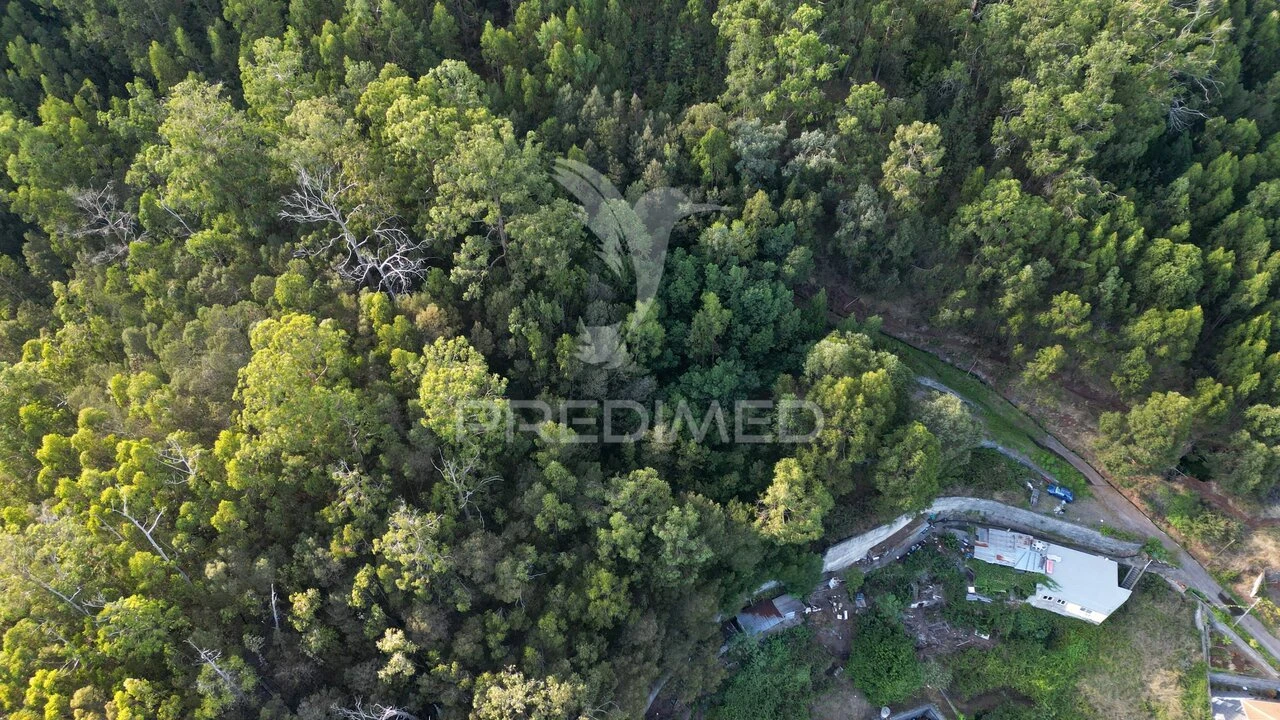 Terreno para Venda em Caniço Foto 24