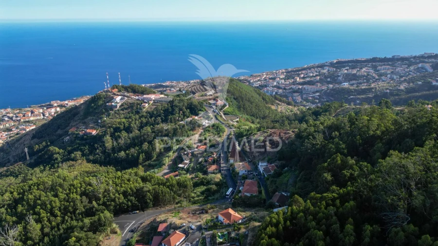 Terreno para Venda em Caniço Foto 16