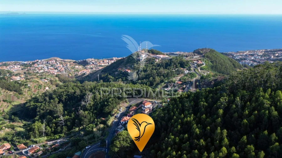 Terreno para Venda em Caniço Foto 13