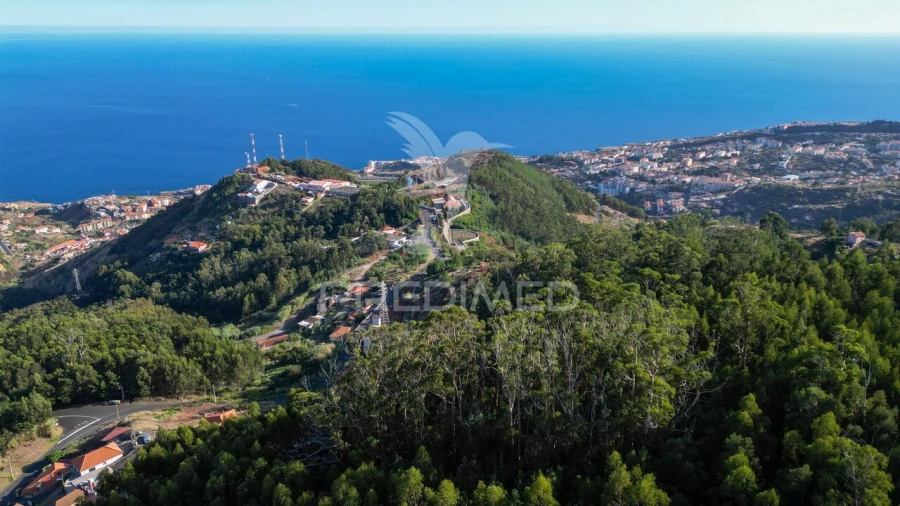Terreno para Venda em Caniço Foto 18