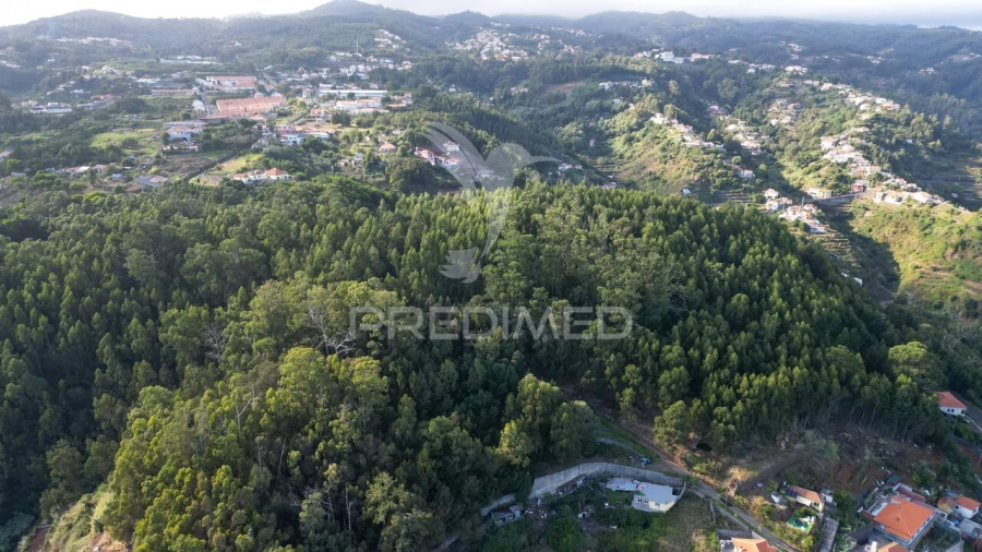 Terreno para Venda em Caniço Foto 25
