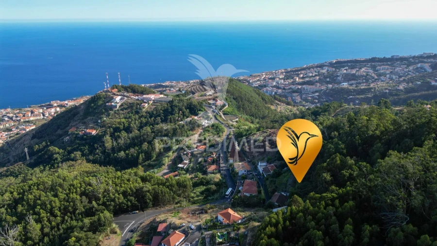 Terreno para Venda em Caniço Foto 17