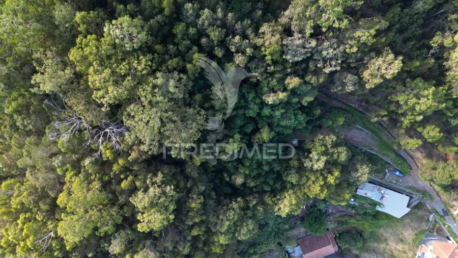 Terreno para Venda em Caniço Foto 23
