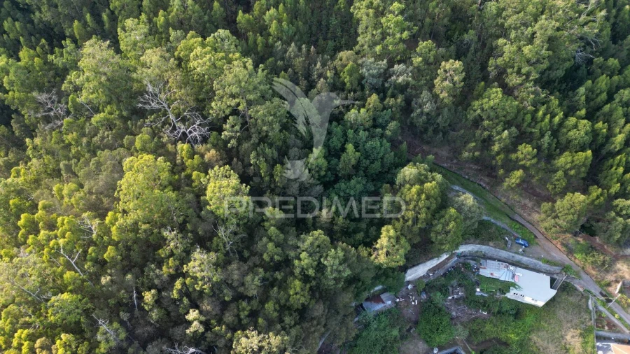 Terreno para Venda em Caniço Foto 24