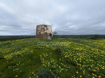 Terreno para Venda em Azinhal