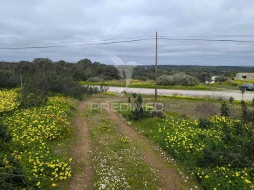 Terreno para Venda em Azinhal