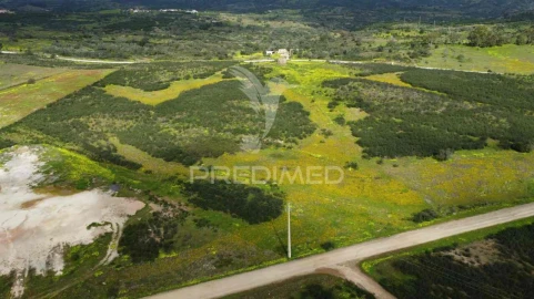 Terreno para Venda em Azinhal