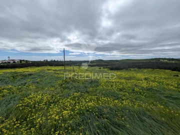 Terreno para Venda em Azinhal