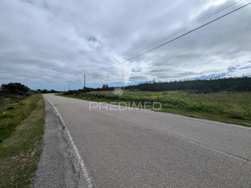 Terreno para Venda em Azinhal Foto 12