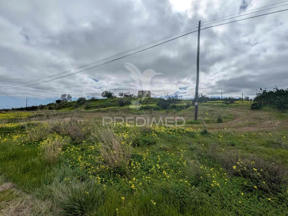 Terreno para Venda em Azinhal Foto 13