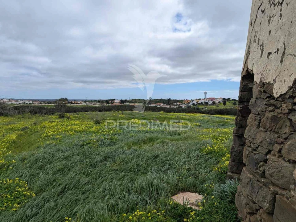 Terreno para Venda em Azinhal Foto 29