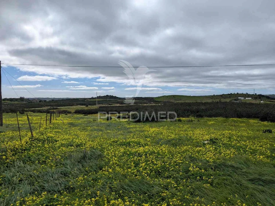 Terreno para Venda em Azinhal Foto 20